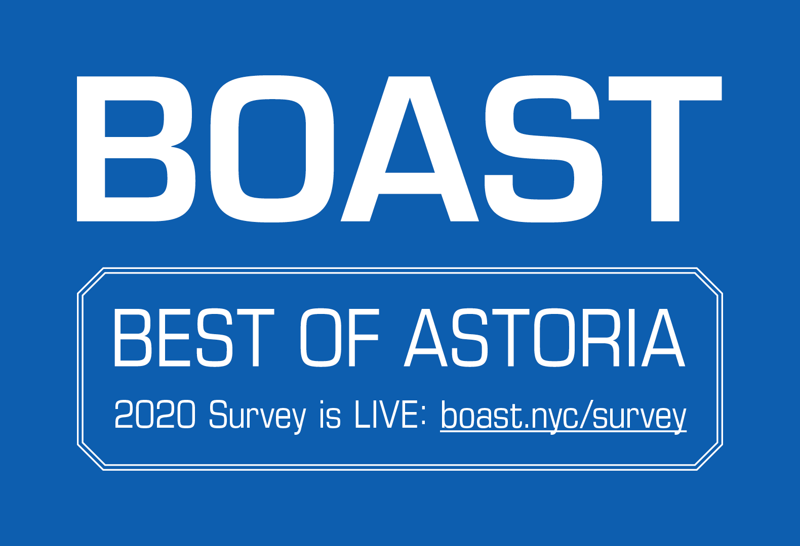 BOAST-2020-Survey